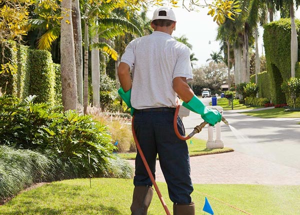 About Wardtown VA Pest Control